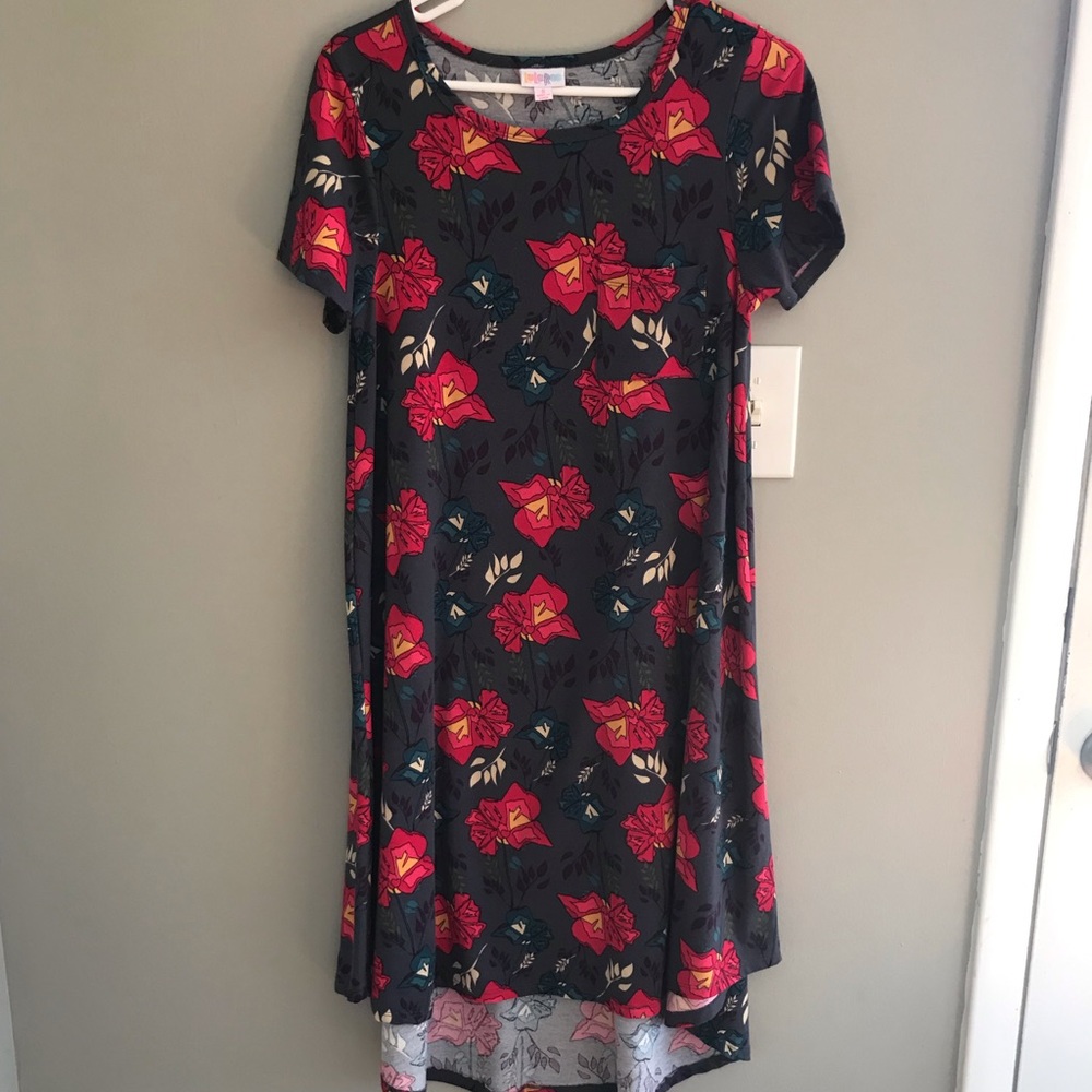 LulaRoe Carly Dress